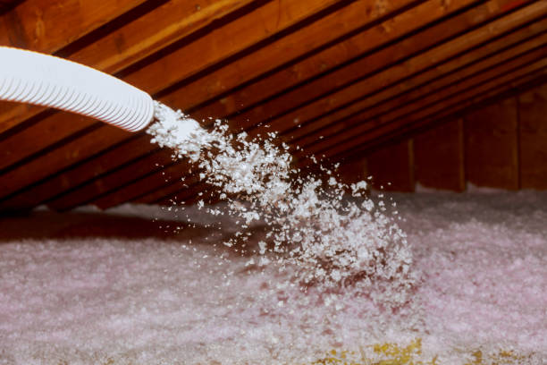 Best Cellulose Insulation  in Roland, AR