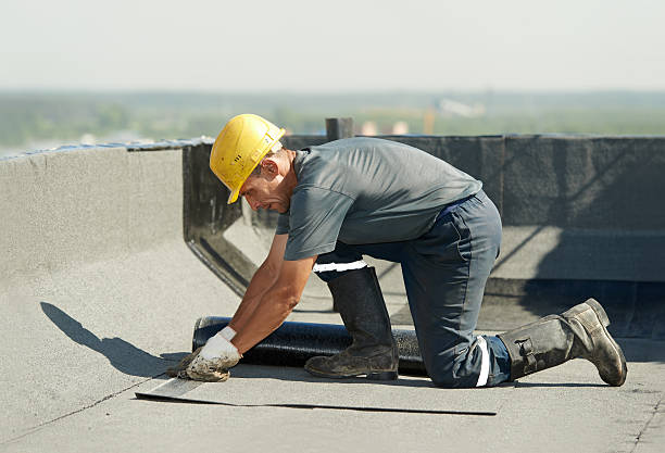 Best Insulation Replacement Services  in Roland, AR